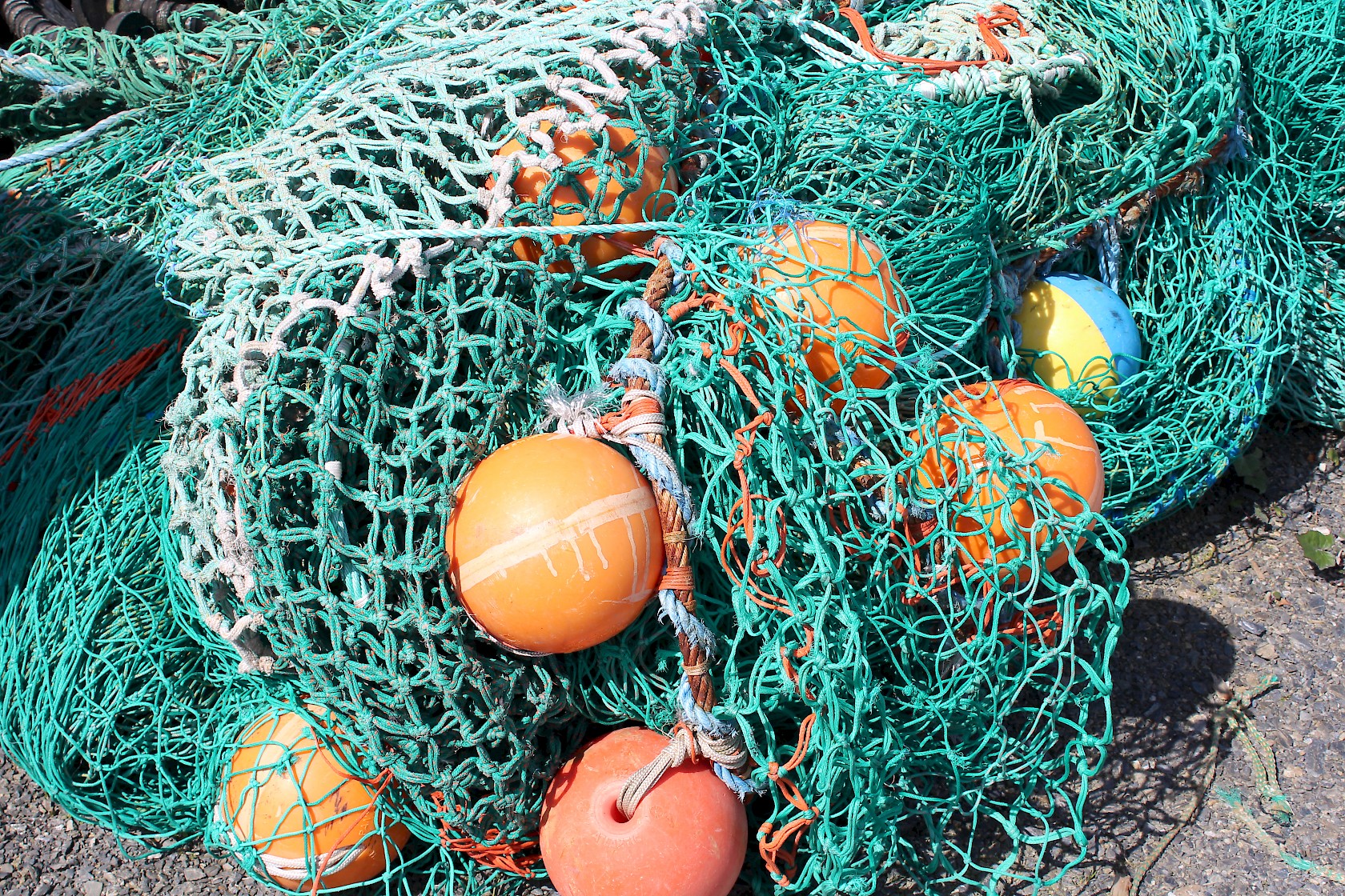 Ropes & Nets L.H.D Limited