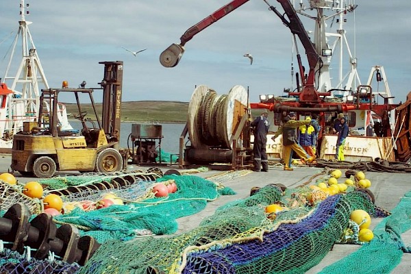 Ropes & Nets