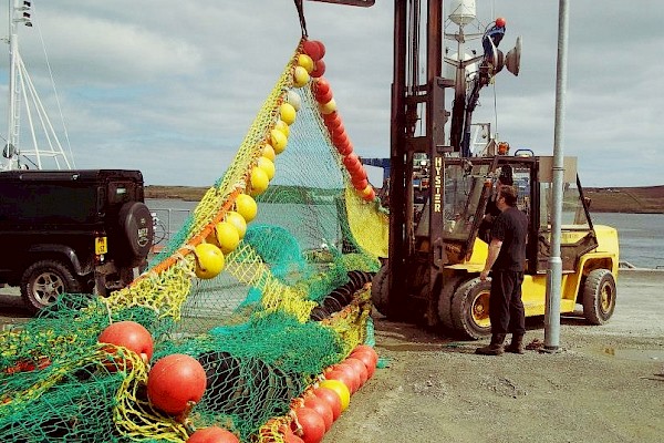 Ropes & Nets